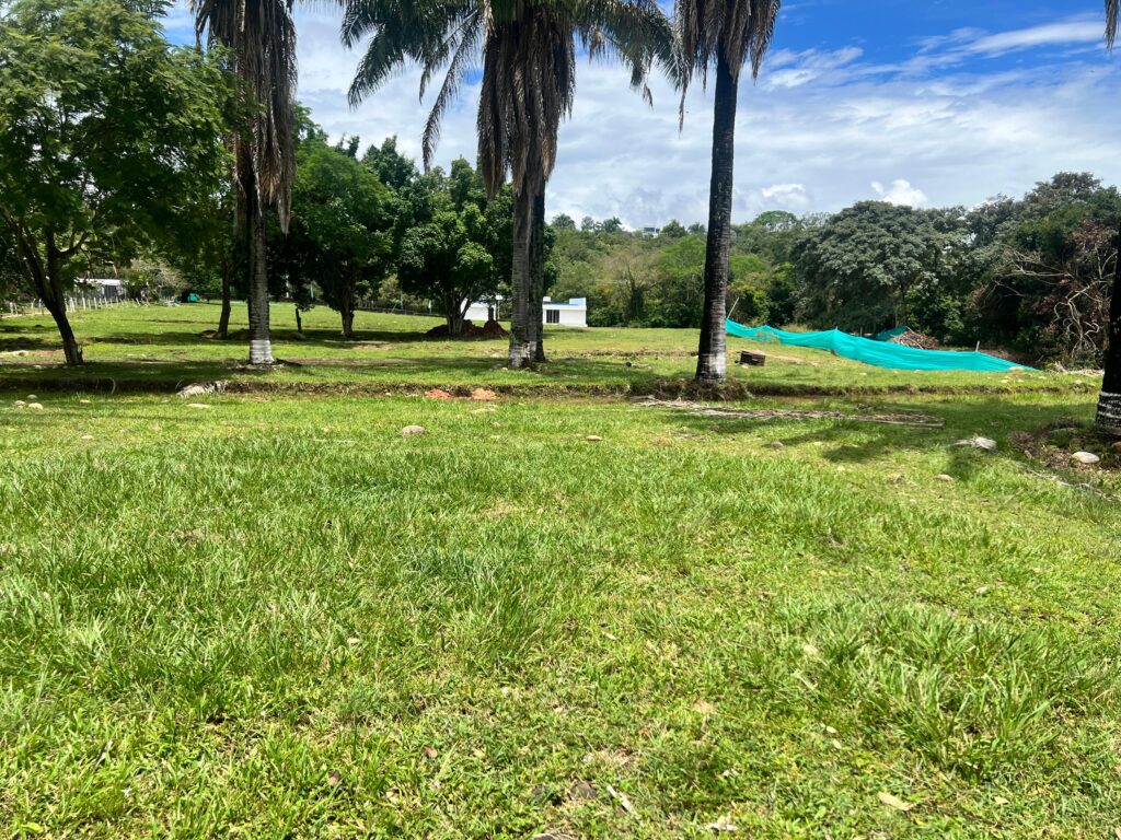 Las Ramblas – Proyecto Urbano en Melgar, Tolima