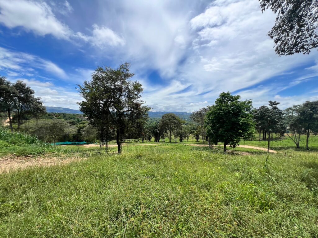 RESERVA DE SANTILLANA – Inversión con proyección en Melgar