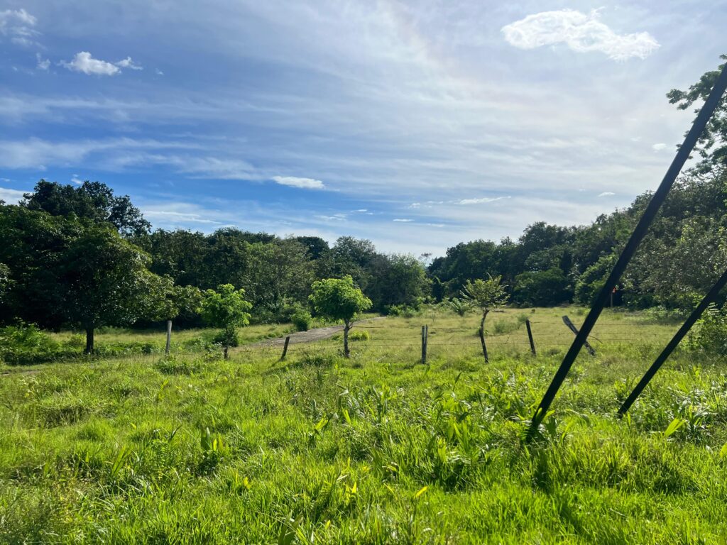 Brazil reservado