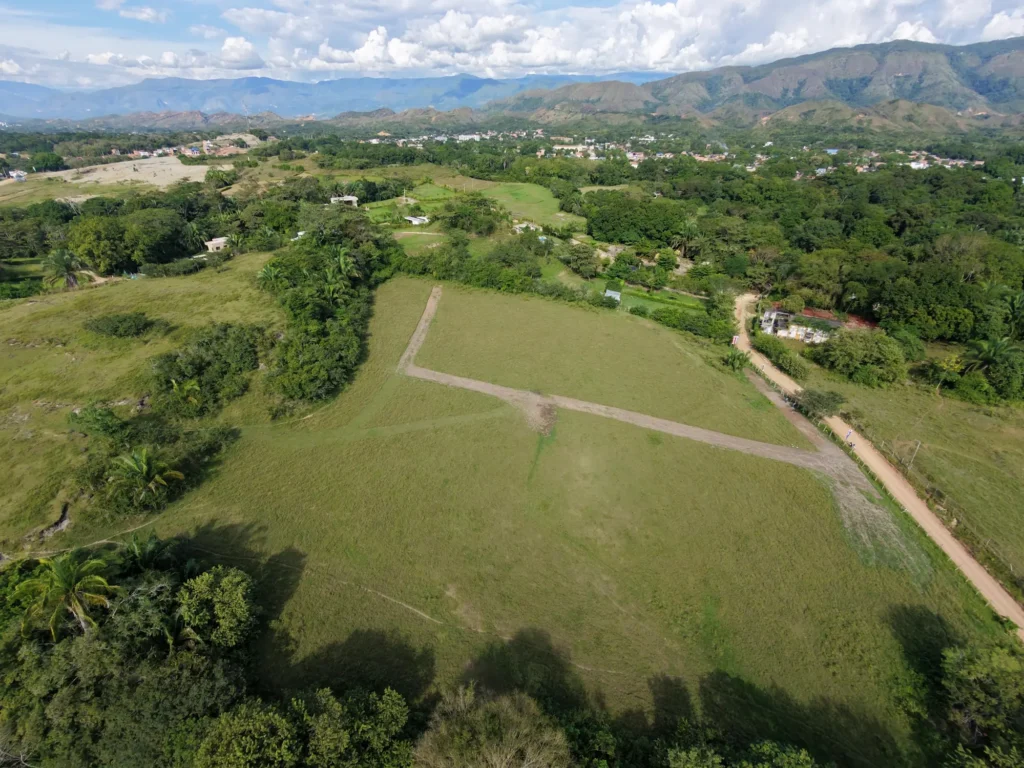 Tekal del bosque