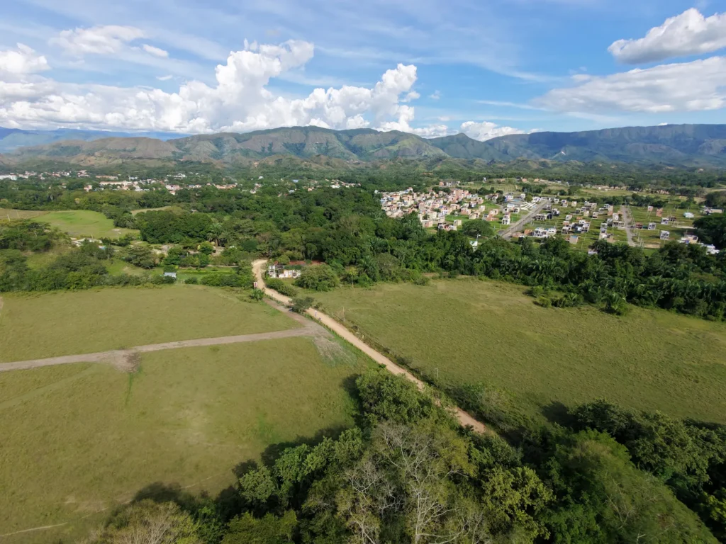 Tekal del bosque